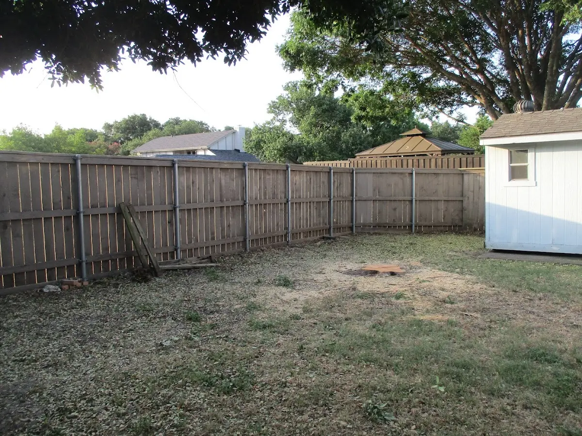 Cleared yard after professional tree removal in Temple Bar Marina